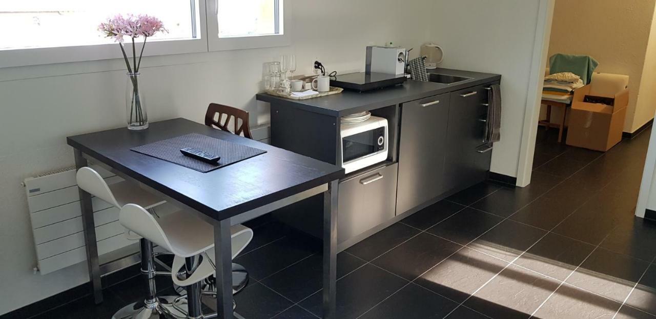 Nice Apartment In Horgen Near Lake And Pool Zewnętrze zdjęcie
