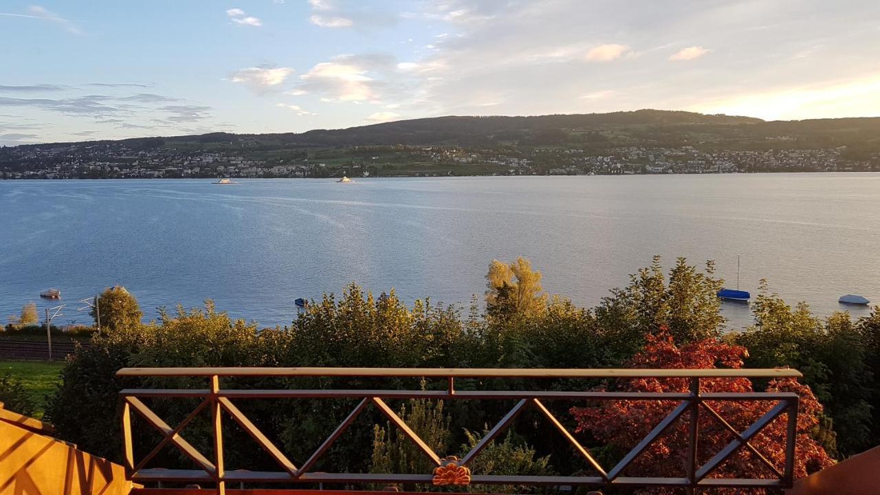 Nice Apartment In Horgen Near Lake And Pool Zewnętrze zdjęcie